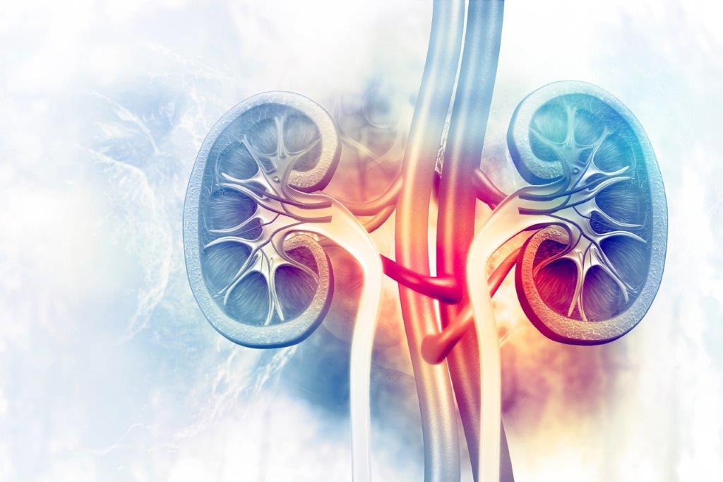news.healthmapsolutions.comhubfsiStockkidney-1